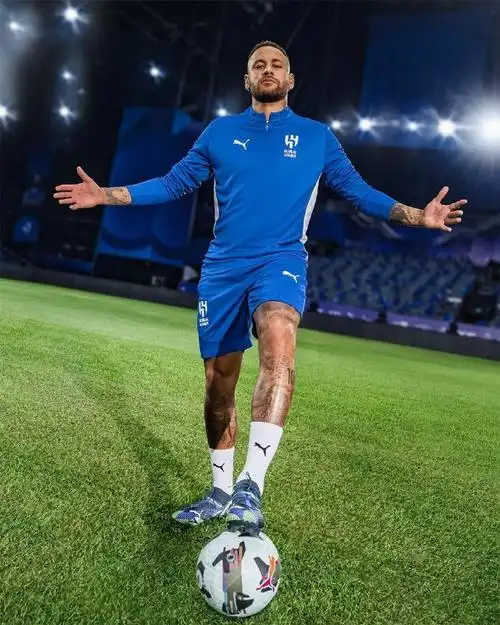 妨礙打擊 妨礙打擊