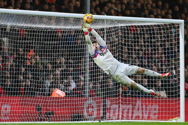 篮球教练 篮球教练